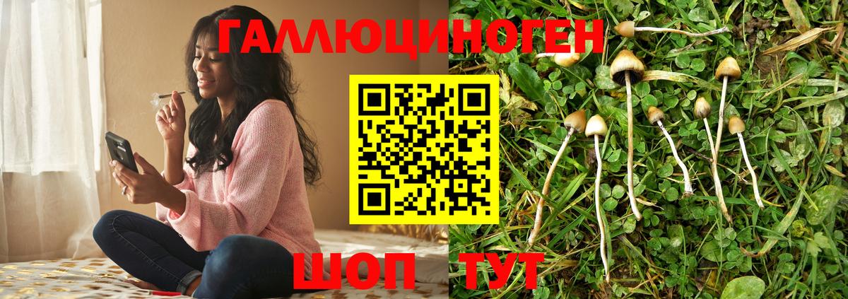Кимры  Псилоцибиновые грибы Cubensis  Галлюциногенные грибы Magic Shrooms  Вход с VPN 
